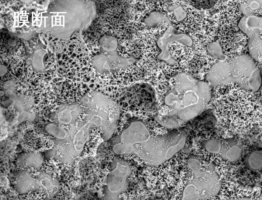 v8哈希游戏烧结管式膜电镜照片