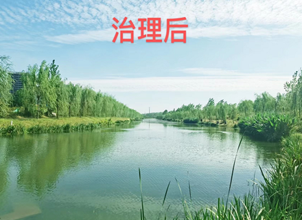 v8哈希游戏-不凡成就非凡,相信品牌的力量